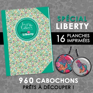 960Cabochons près à découper Spéciale mamie 25 eu