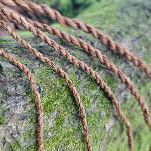 May include: Close-up of several strands of brown, braided rope. The rope is made of natural fibers and is arranged diagonally across a moss-covered surface. The texture of the rope and the moss is clearly visible.