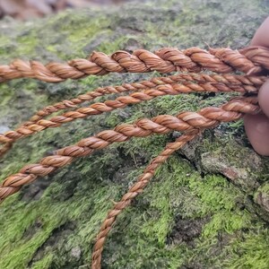 May include: Close-up of several strands of tightly twisted, light brown rope. The rope is made of natural fibers and has a textured appearance. The background is a moss-covered log, providing a natural setting.
