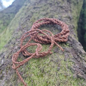 May include: A coiled, brown rope made of natural fibers rests on a moss-covered tree trunk. The rope is tightly woven, with a textured appearance. The natural color of the rope blends with the earthy tones of the tree and moss.
