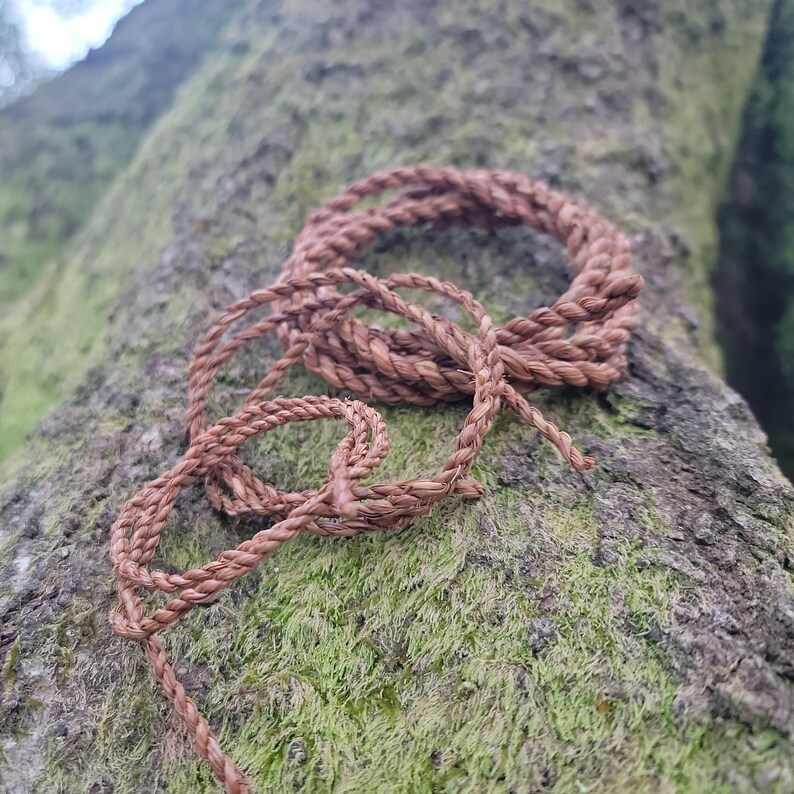 May include: A coiled, brown rope made of natural fibers rests on a moss-covered tree trunk. The rope is tightly woven, with a textured appearance. The natural color of the rope blends with the earthy tones of the tree and moss.
