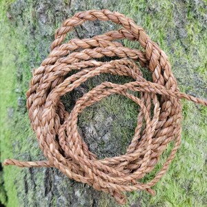 May include: Coiled brown rope made from natural fibers. The rope is tightly braided, with a textured appearance. The rope is lying on a mossy, green surface, creating a contrast in color and texture. The rope appears to be handmade.