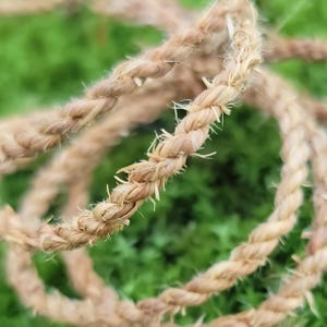 Op de afbeelding: Close-up van een opgerold, natuurlijk gekleurd touw. Het touw is gemaakt van gedraaide vezels, met een licht gerafelde textuur. De achtergrond is een wazig groen, wat een natuurlijke omgeving suggereert. Het touw lijkt stevig en geschikt voor diverse knutsel- of decoratieve doeleinden.