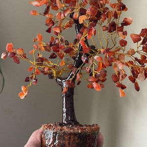 May include: A red carnelian crystal tree with a brown wooden base. The tree is made of wire and has many branches with small crystals on them.