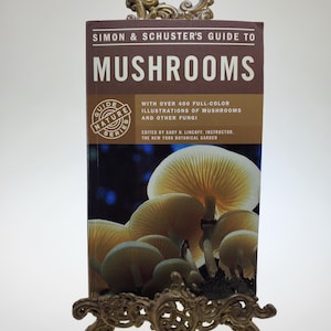 1991 Mushrooms Nature Guide Series Softcover Buch herausgegeben von Gary H Lincoff veröffentlicht von Simon und Schuster