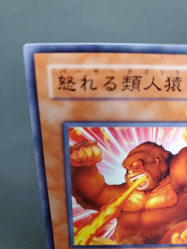 遊戯王 - ゴリラ出品 il_fullxfull.2973128791_lpp3.jpg