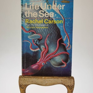 1958 Life Under the Sea Hardcover Children&#39;s Book by Rachel Carson Golden Press