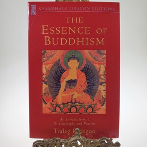 2001 The Essence of Buddhism An Introduction to Its Philosophy and Practice Softcover Book by Shambhala Dragons Edition
