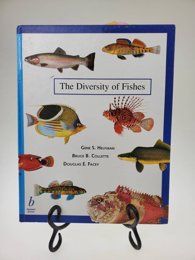 ジュディス ガイガー JUDITH  「Coris Fish」 1997 the Diversity of Fishes Hardcover Book by Gene S