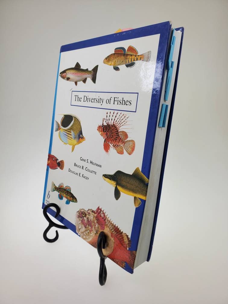 ジュディス ガイガー JUDITH  「Coris Fish」 1997 the Diversity of Fishes Hardcover Book by Gene S