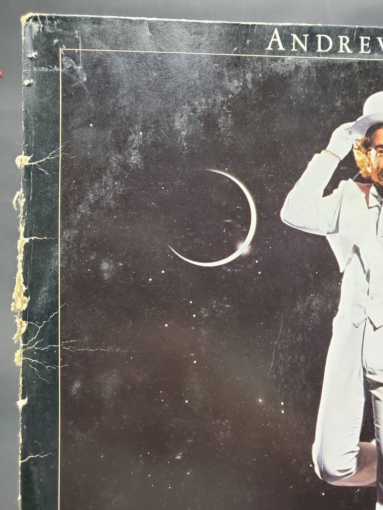 1980 Andrew Gold All This And Heaven Too LP AS 53072 Asylum Etsy 1980 andrew gold all this and heaven too lp as 53072 asylum etsy