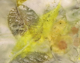 Colección 1 de fondos de papel teñido ecológico