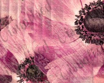 Vintage Floral Journal and Scrapbooking Kit - Actualizado en noviembre de 2022