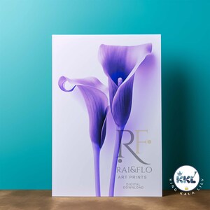 King Calla Lily B(eta) SKU-KKLB 100010 Calla Lily Flower Brand Quality Digital Fine Art Stylist Floral Downloadable Print Art Nouveau Deco