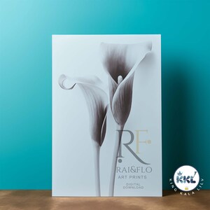 King Calla Lily B(eta) SKU-KKLB 100008 Calla Lily Flower Brand Quality Digital Fine Art Stylist Floral Downloadable Print Art Nouveau Deco