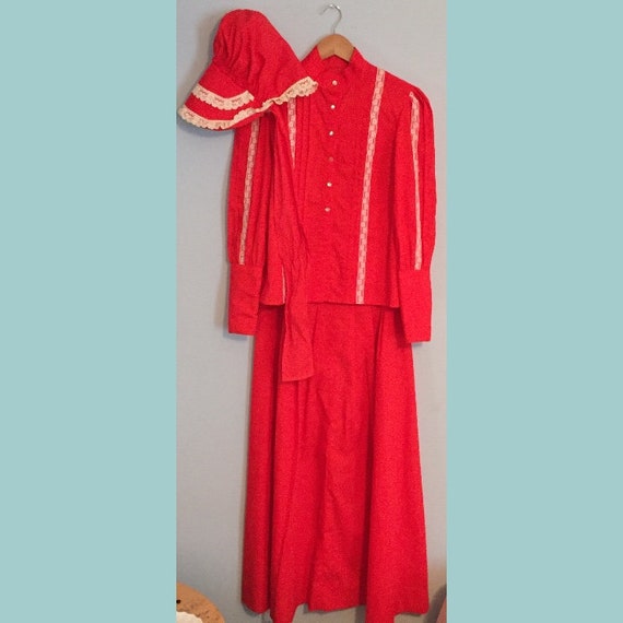 70s Handmade Vintage Costume - Victorian Bicenten… - image 1