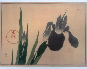 18th Century Antique Japanese Sakai Hoitsu “Iris” Woodblock Print