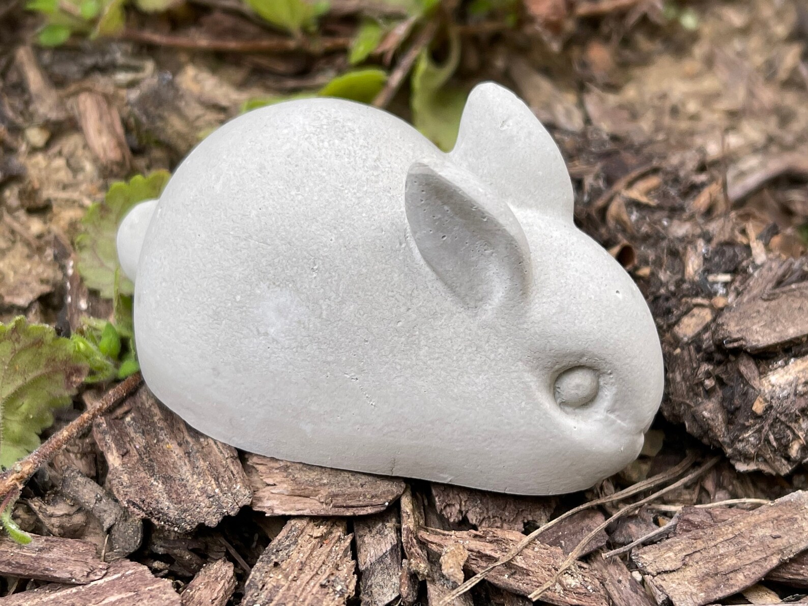 Concrete Rabbit Garden Buddies Art Set Etsy
