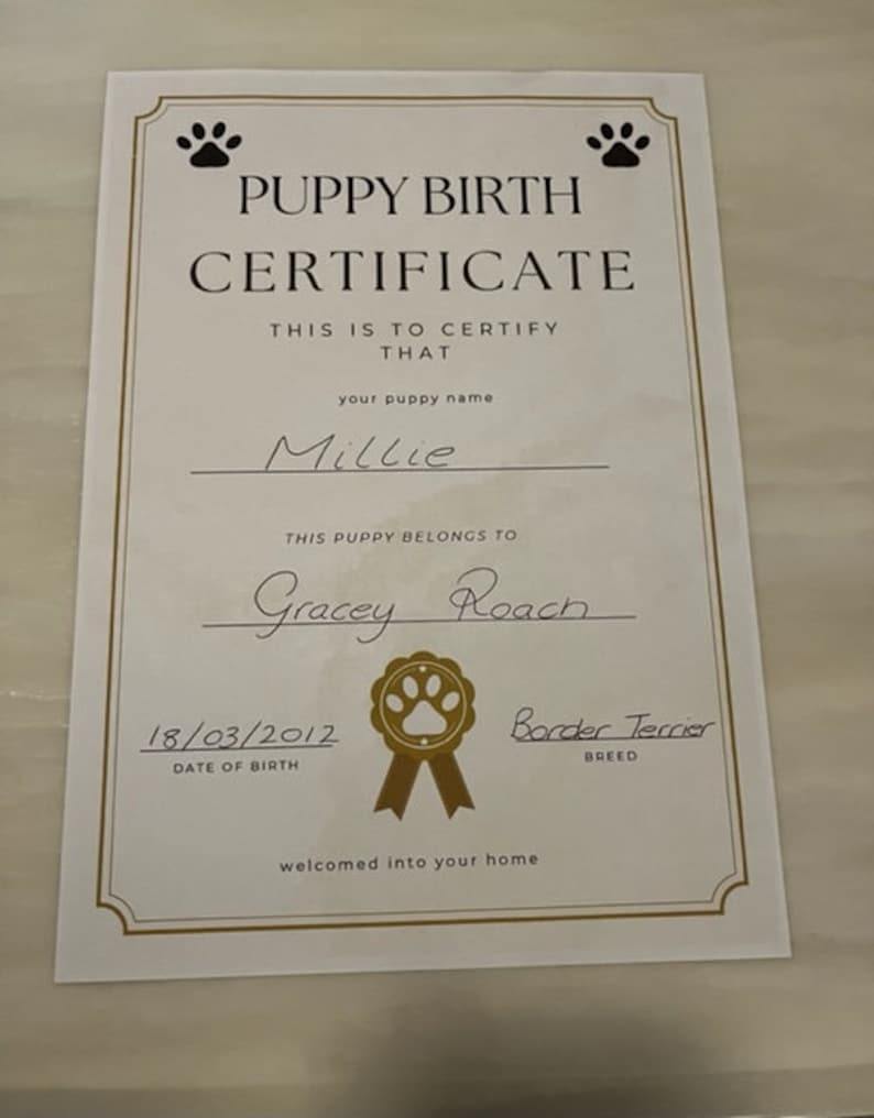 DO PUPPIES HAVE BIRTH CERTIFICATES visual data 6