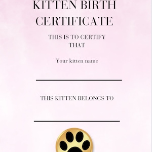 Geboorteakte kitten