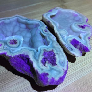Agatized Botryoidal Fossil Coral (UV Reactive)