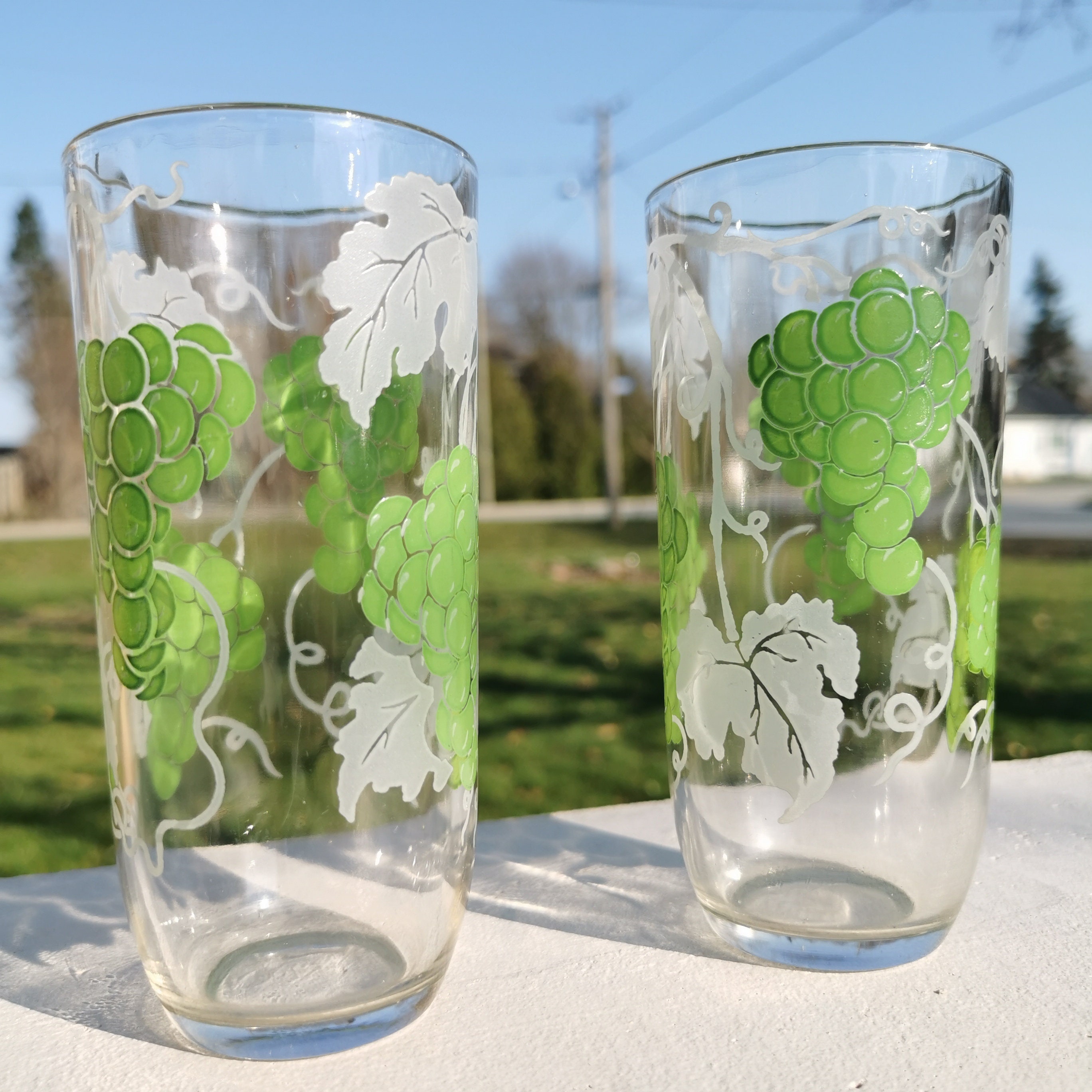 Set of 2 Vintage Etched Glass Tumblers With Green Grapes Etsy Canada