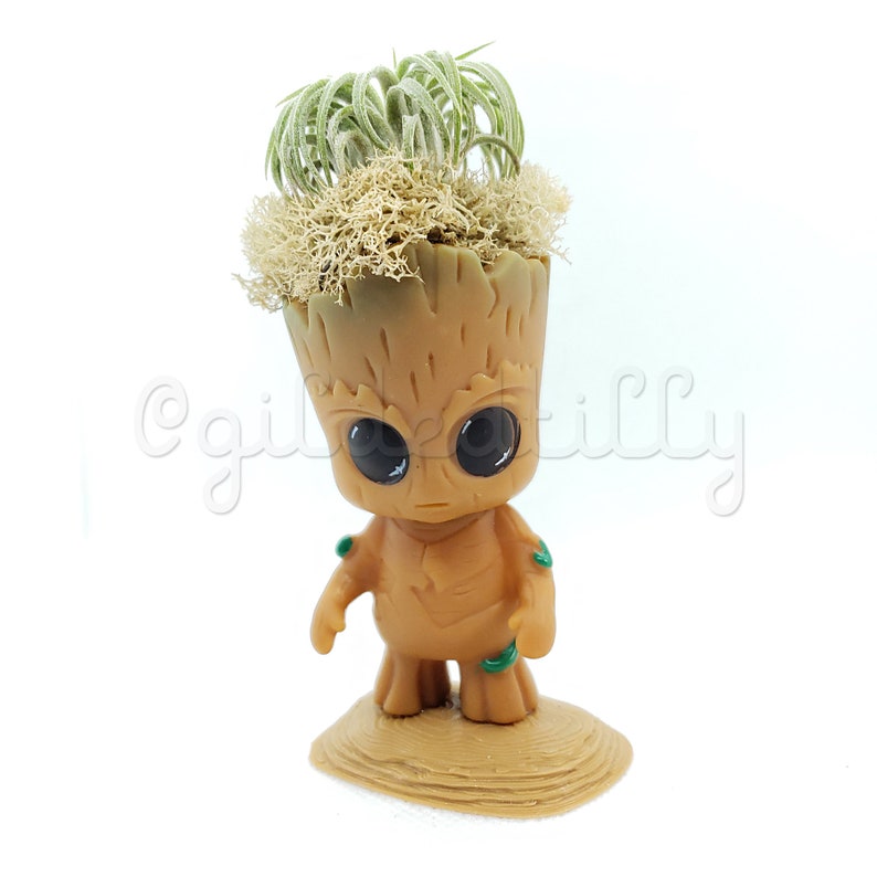I am Groot Air Plant Display GildedTilly