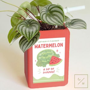 De originele sapdoosplanter van LittleWolfArtCo