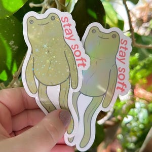 Stay Soft Frog Vinyl Sticker