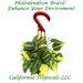 Melissa reviewed Philodendron Brazil - 6" from California Tropicals