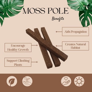 Moss Pole for Climbing Plants, Plant Support Dimensions 17.5 inches length by 1.5 by 1.5 inch