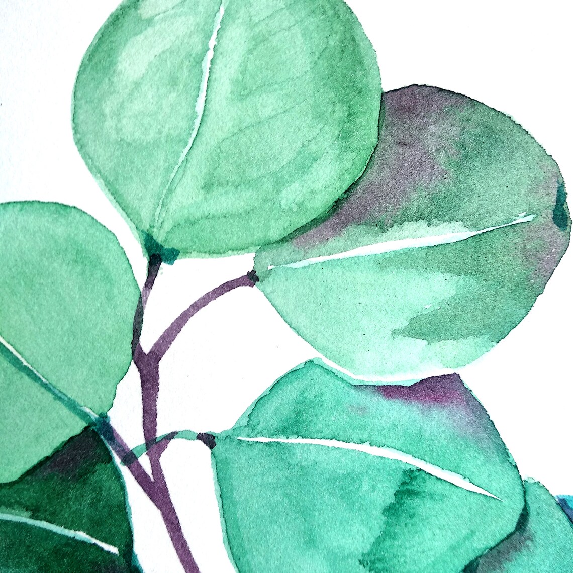 Watercolor eucalyptus painting. Original floral painting. Etsy