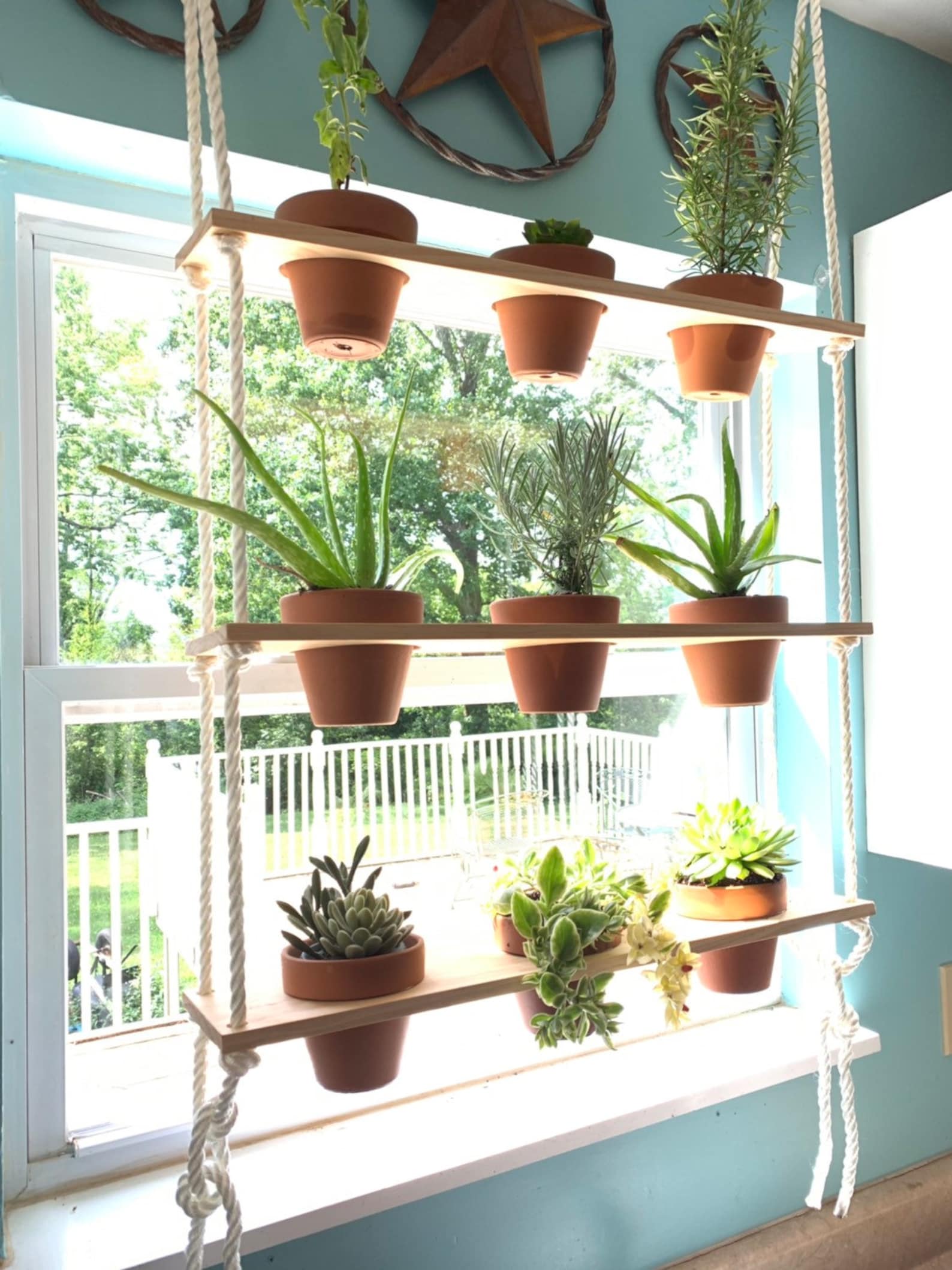 Hängende Pflanzen regale Fenster Pflanzen Regal Küche Etsy