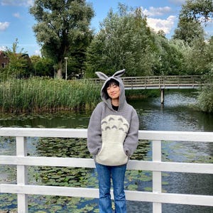 May include: A gray hooded sweatshirt with a Totoro design and attached bunny ears. The sweatshirt has a large cream-colored pocket and is worn with blue jeans. Text on the image reads "Lucy @itslucyliang XXS".