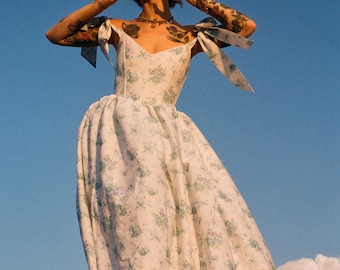 Cottage core dress, floral print dress, period dress