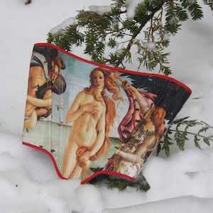 Renaissance corset | Corset with painting