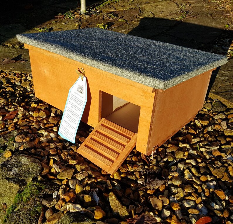 Hedgehog House complete with hay bedding and FREE Xmas Etsy