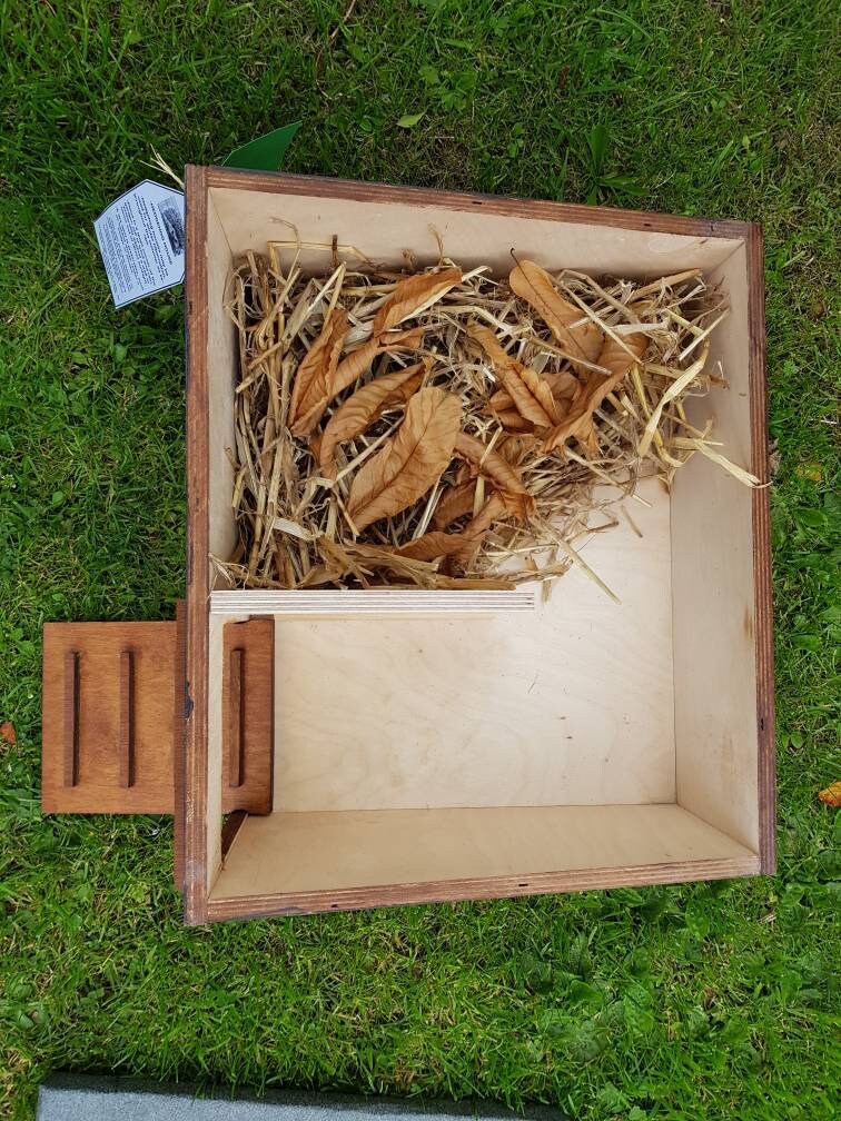 Hedgehog House complete with hay bedding and FREE Xmas Etsy