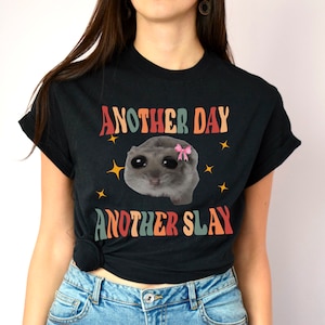 Another Day Another Slay Shirt, Sad Hamster Tee, Unisex, Funny Shirt, Meme Clothing