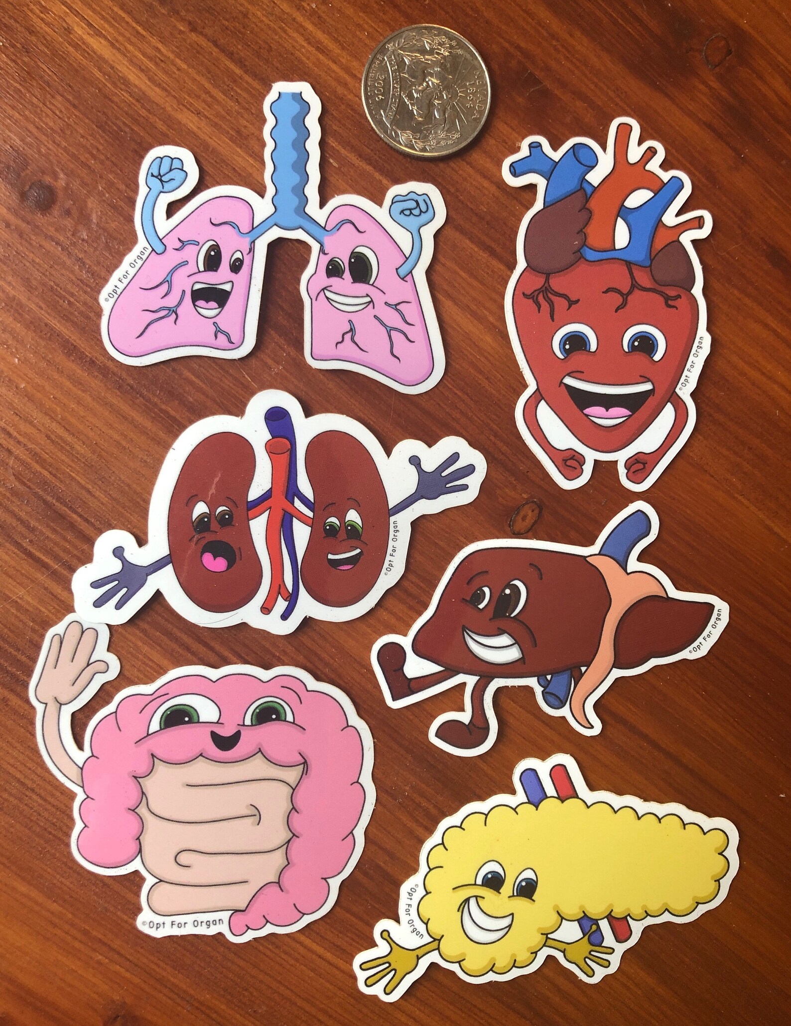 Variety Pack 6 vinyl organ sticker included | Etsy