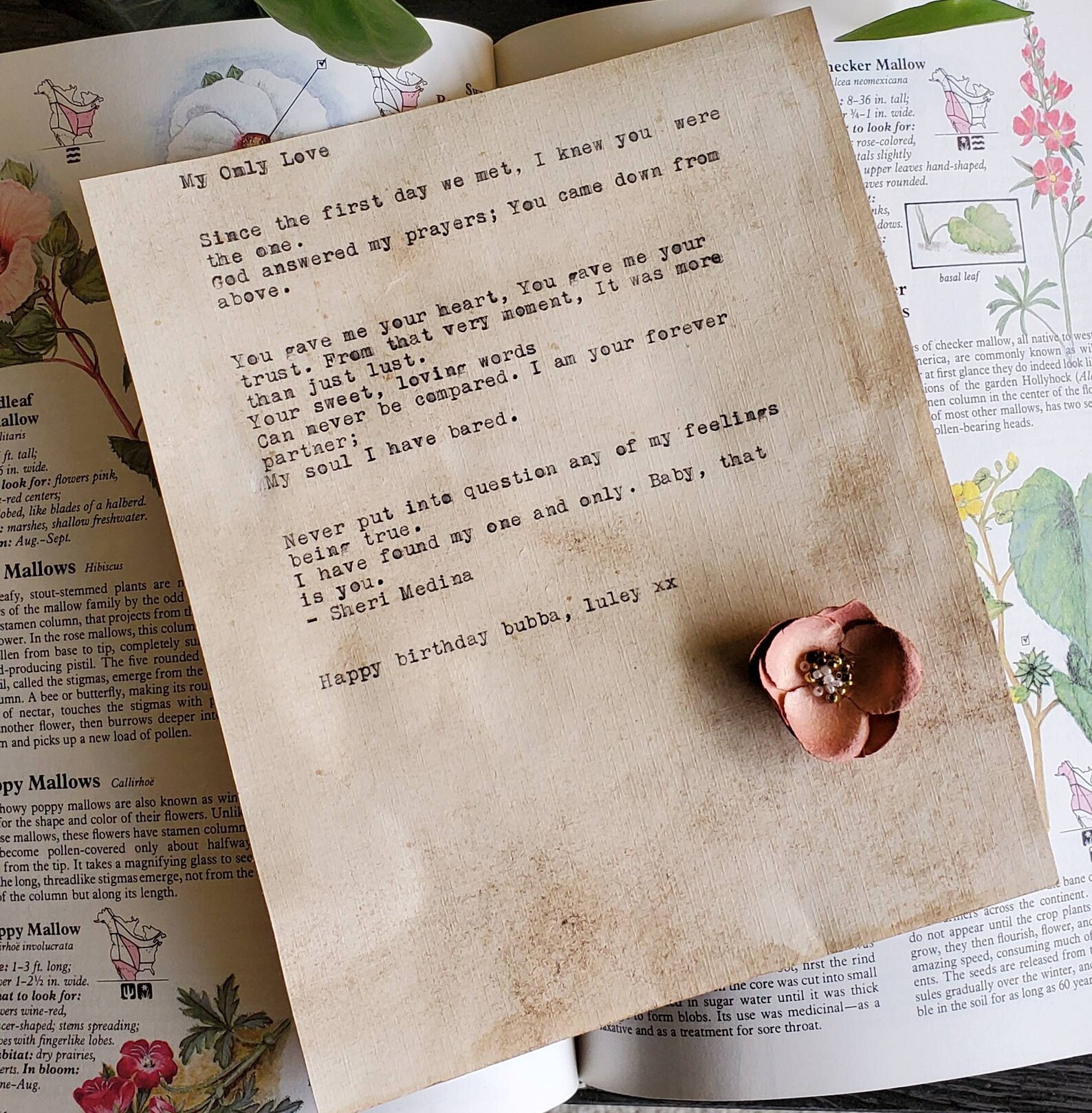 Custom Typewritten Notes / cards personalized small letters Etsy