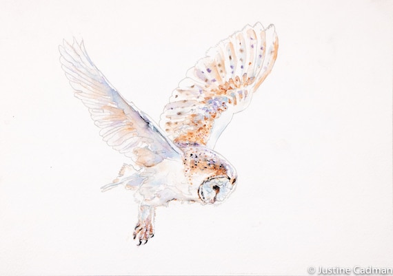 Snowy Barn Owl Watercolor Print: Hand-painted Fine Art