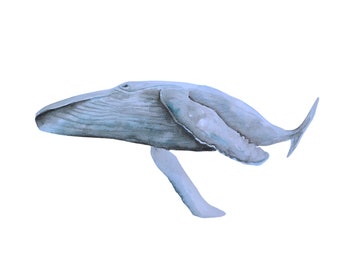 Whale Watercolour (Digital Download)