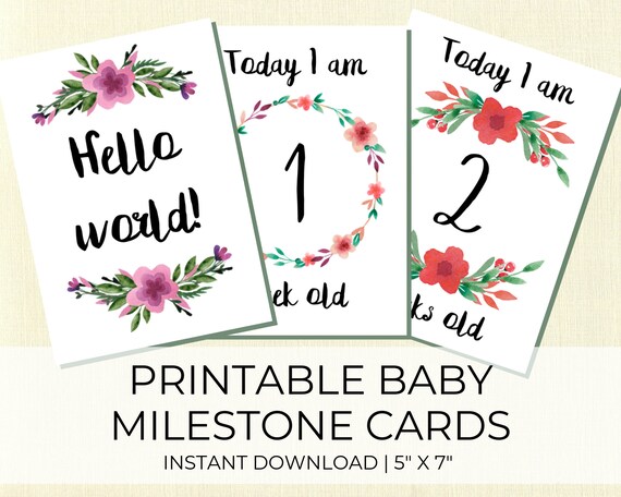 baby milestone cards etsy