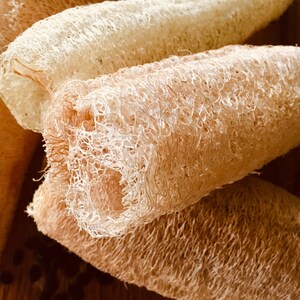 Organic, Heirloom Loofahs, homegrown on a small farm!