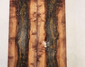 Scales - Redwood Burl Resin Art Hybrid - Book Matched Set