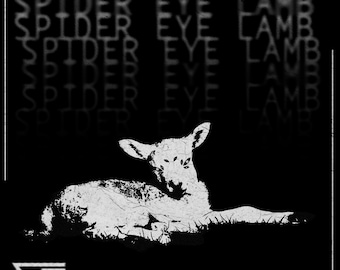 Uniseks katoenen T-shirt Outlast Trials -- SPIDER EYE LAMB