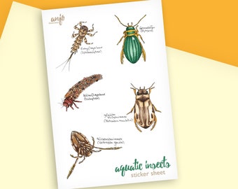 Sticker sheet with aquatic insects, water insects drawn in watercolor as insect natural history sticker