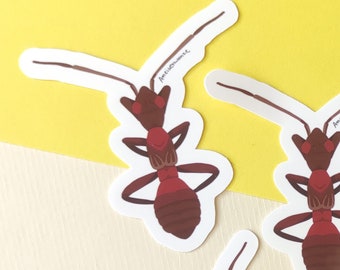Ant Bug Sticker - Sticker with drawn bug - Sticker for entomologists and insect nerds