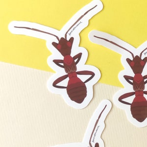May include: Four red and brown ant stickers with the text "AntsInMyPants" on each sticker.